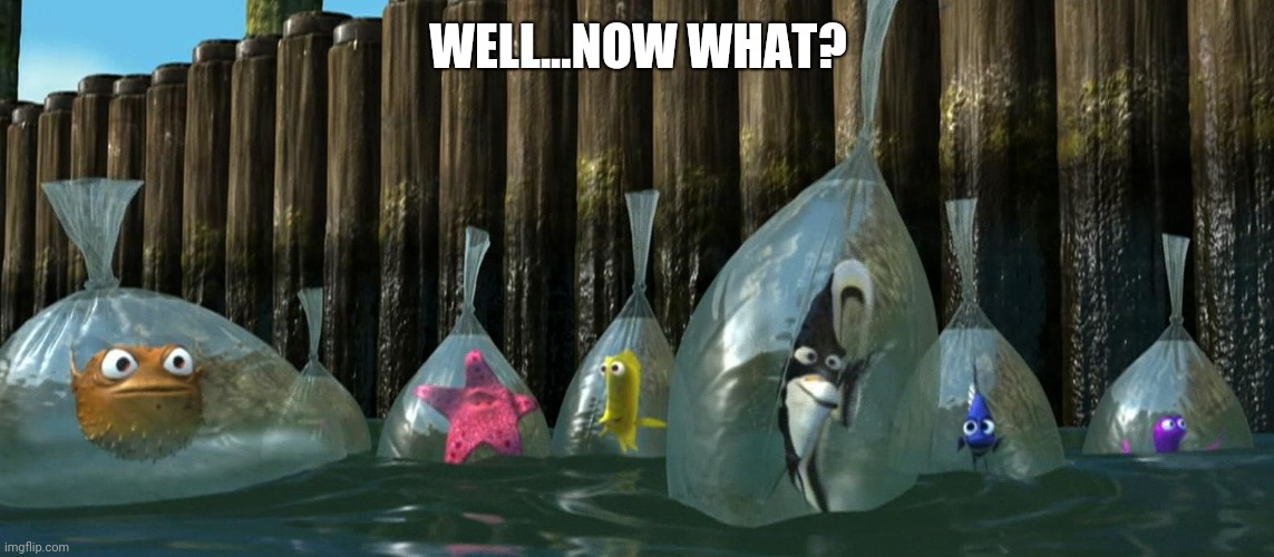 Fish from Finding Nemo floating in plastic bags in the ocean beneath the words Well...now what?