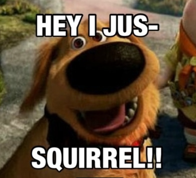 Dug the dog from the film Up suddenly exclaiming Squirrel