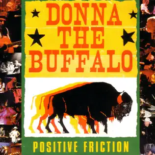 Donna the Buffalo's Positive Friction album cover